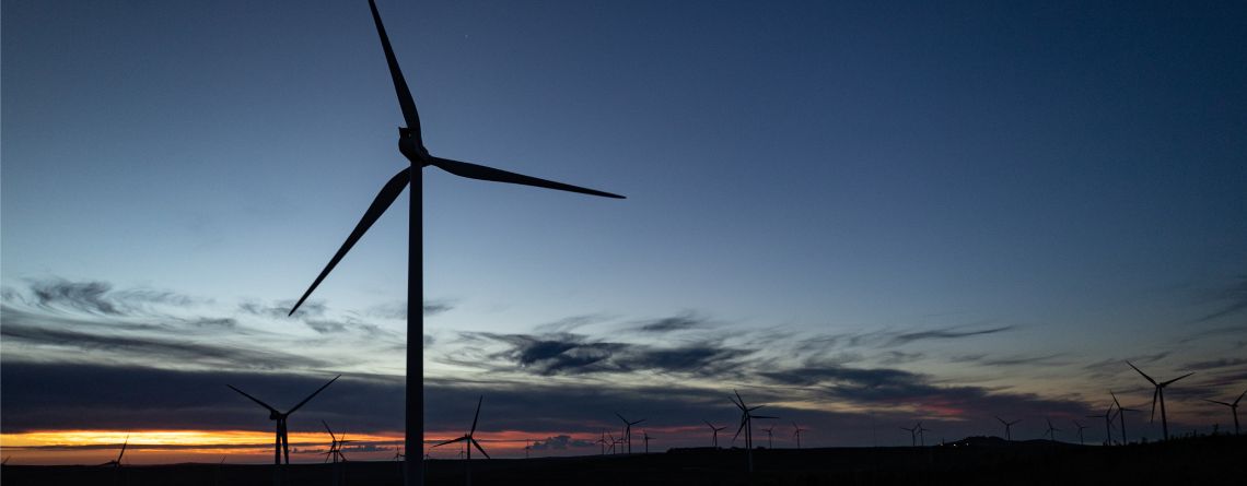 picture of a wind farm, an independent power producer