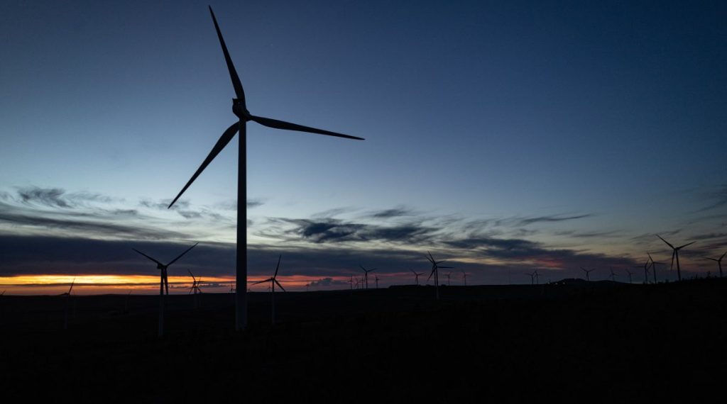 windfarm, an independent power producer