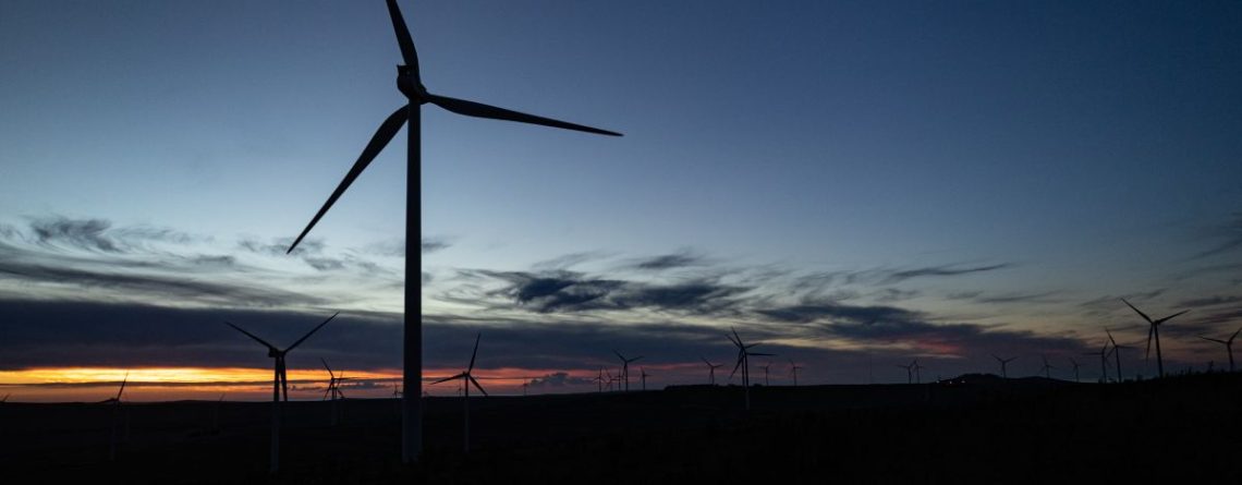 windfarm, an independent power producer